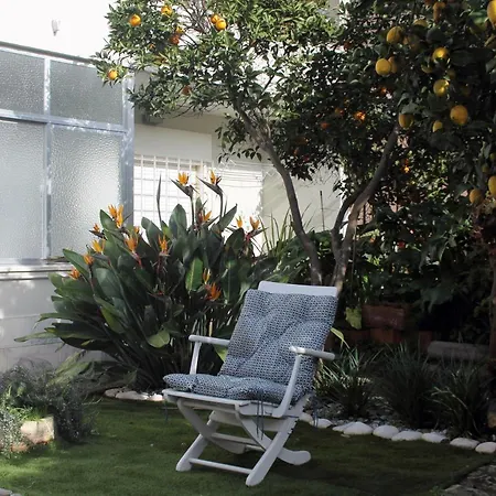 Sun House Apartment *