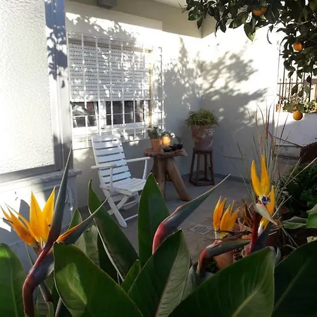 Sun House Apartment